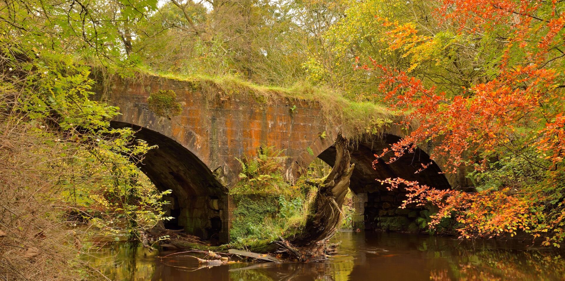 Bellshill