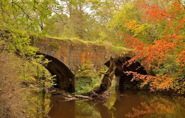 Bellshill